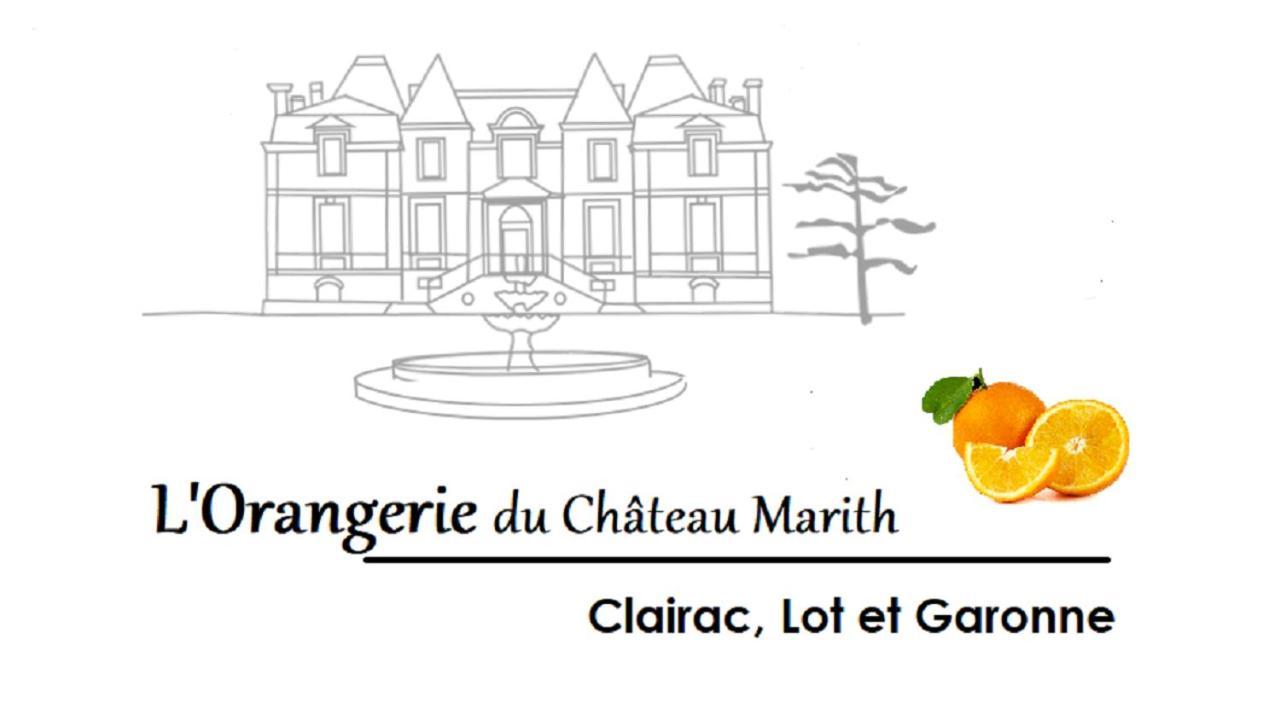 Orangerie Du Chateau Marith - Domaine Avec Piscine Clairac Kültér fotó