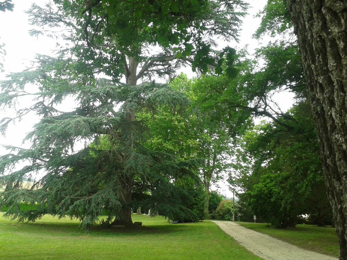 Orangerie Du Chateau Marith - Domaine Avec Piscine Clairac Kültér fotó
